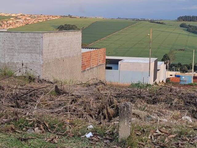 #9913 - Terreno para Venda em Arapongas - PR - 2