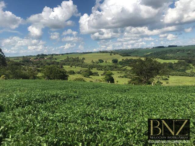 #9931 - Fazenda para Venda em Sabáudia - PR - 2