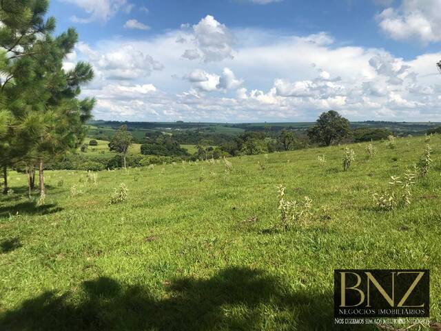 #9931 - Fazenda para Venda em Sabáudia - PR - 3