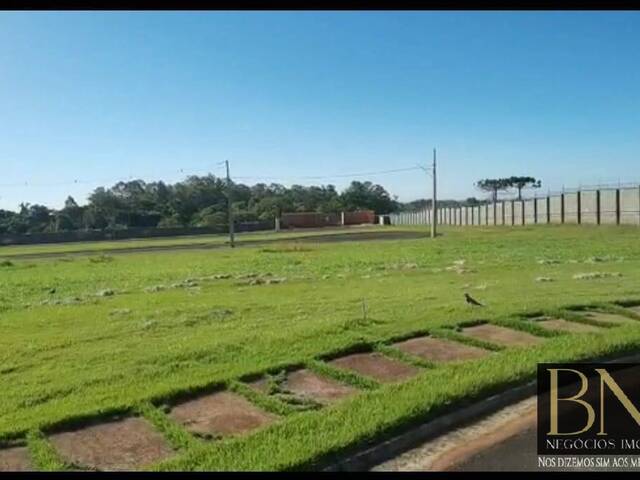 #9763 - Terreno para Venda em Arapongas - PR - 1